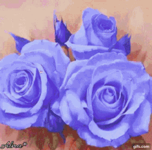 Rosas Roses GIF - Rosas Roses Flower GIFs