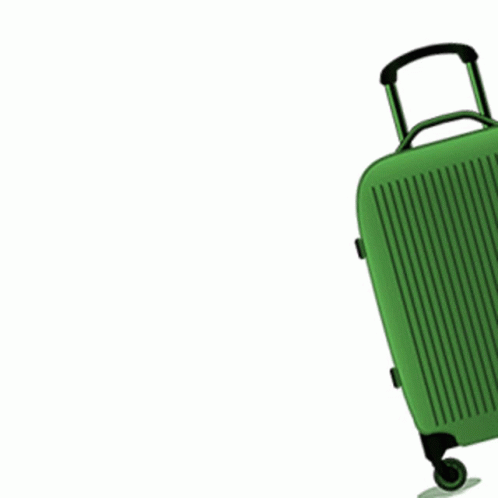 Pakistan Travel GIF - Pakistan Travel Baggage GIFs