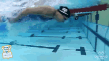 Flip Turn Swim GIF - Flip Turn Swim Swimming GIFs