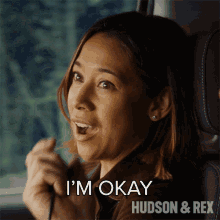 Im Okay Sarah Truong GIF - Im Okay Sarah Truong Hudson And Rex GIFs