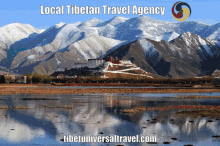 agency travel