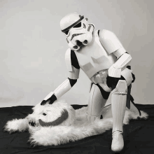 star wars stormtrooper petting rug bw