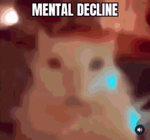 Mental Decline Cat12345 GIF - Mental Decline Cat12345 GIFs