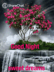 Good Night Sweet Dreams GIF - Good Night Sweet Dreams Sharechat GIFs