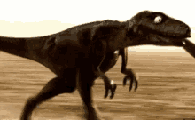 Rex Dinosaur GIF - Rex Dinosaur Running GIFs