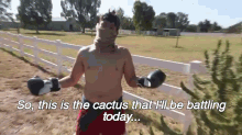 Guy Bodyslams A Cactus GIF - Guy Fights Cactus GIFs