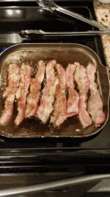 Bacon GIF - Bacon GIFs