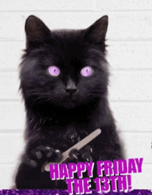 Black Cat Friday GIF - Black Cat Friday Happy Friday The13th GIFs
