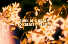 Dreamy Visionary GIF - Dreamy Visionary Reality GIFs