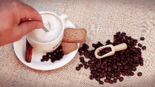 Alaya Coffee GIF - Alaya Coffee Stir GIFs