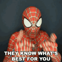 They Know Whats Best For You Spiderman GIF - They Know Whats Best For You Spiderman Cameo GIFs