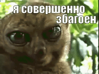 tarsier.gif