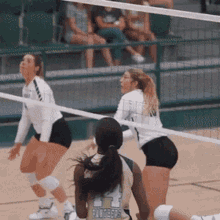 Volleyball Volleyball Girls GIF - Volleyball Volleyball Girls GIFs