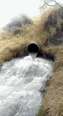 Water Dirty Water GIF - Water Dirty Water Sewer GIFs
