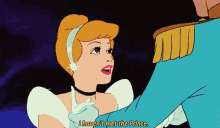 Cinderella I Havent Met The Prince GIF - Cinderella I Havent Met The Prince Sad GIFs