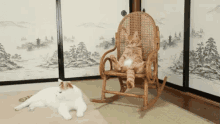 Rocking Chair GIF - Rocking Chair Cat Kitty GIFs