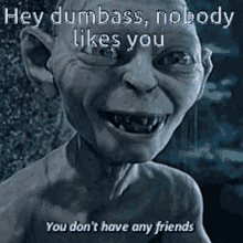 smeagol gollum you dont have any friends nobody likes you