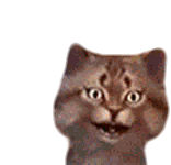 Meow Gravycatman Sticker - Meow Gravycatman Cat Stickers
