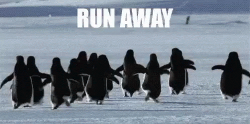 run-run-away.gif