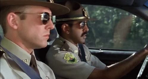 Super Troopers GIF - Police Officer Super Troopers Security GIFs