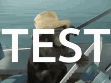 Test Tag Test Monke Boat GIF - Test Tag Test Monke Boat Monke GIFs