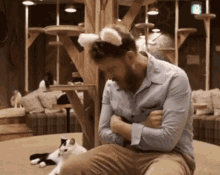 mumford and sons ted dwane cat cute pet