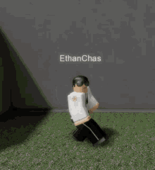 Black Fox Black Fox County GIF - Black Fox Black Fox County Ethan Chas GIFs