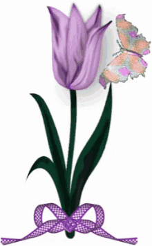 Tulip Butterfly GIF - Tulip Butterfly GIFs