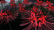 Flowers Moving GIF - Flowers Moving Red GIFs