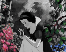 There There GIF - Snowwhite Snowwhiteandthesevendwarfs Therethere GIFs