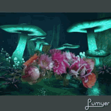 Magic Mushrooms Flowers GIF - Magic Mushrooms Flowers Bloom GIFs