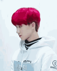 the8 ming hao seventeen the8 ming hao seventeen
