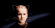 Cat Draco Malfoy GIF - Cat Draco Malfoy GIFs