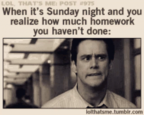 homework sunday meme