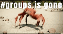 Groups Is Gone Crab GIF - Groups Is Gone Crab Dancing GIFs