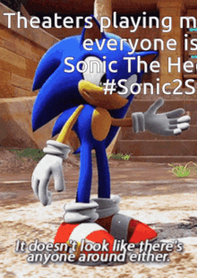 Sonic The Hedgehog2 Sweep GIF - Sonic The Hedgehog2 Sonic Sweep GIFs