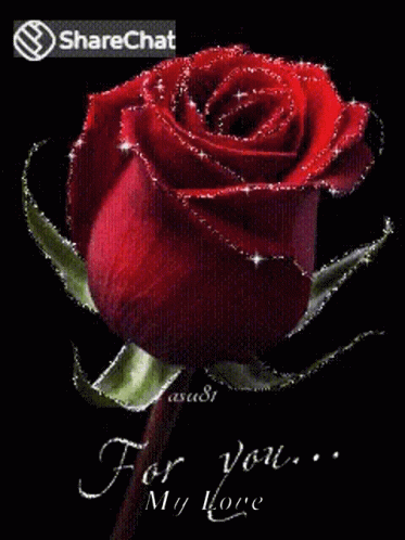 For You Roses Gif For You Roses Flowers Discover Share Gifs