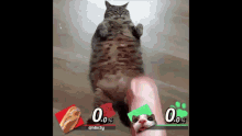 Cat Eating Bread GIF - Cat Eating Bread Smash Bros GIFs