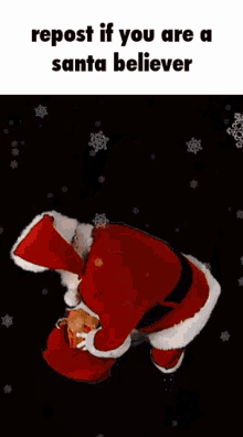 Santa Believer GIF - Santa Believer GIFs