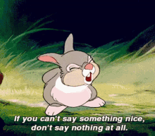 Truth If You Cant Say Something Nice GIF - Truth If You Cant Say Something Nice Dont Say Anything At All GIFs
