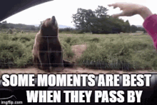 Best Moment Moments Pass By Wavering GIF - Best Moment Moments Pass By Wavering GIFs