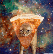 宇宙ねこ　うちゅうねこ　宇宙猫 GIF - Pizza Cat Space Cat GIFs