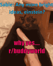 Buddyworld Buddywudd GIF - Buddyworld Buddywudd Reddit GIFs