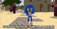 Everything Here Is Weird Looking Sonic GIF - Everything Here Is Weird Looking Sonic Weird Looking GIFs
