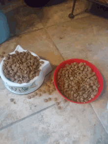 Spoiled Dog Food GIF - Spoiled Dog Food Messy GIFs