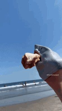Shark Puppet Seagull GIF - Shark Puppet Seagull Seagulls GIFs