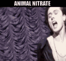 Suede Animal Nitrate GIF - Suede Animal Nitrate 90s Music GIFs