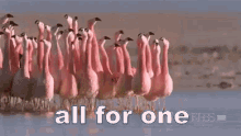 All For One GIF - All For One Team Team Players GIFs