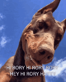 Rory Doberman GIF - Rory Doberman Hyde GIFs