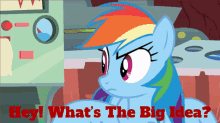 Mlp Rainbow Dash GIF - Mlp Rainbow Dash Hey Whats The Big Idea GIFs